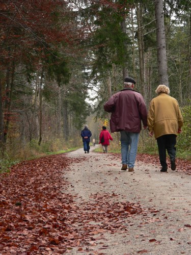 Elderly wellbeing Elderly wellbeing