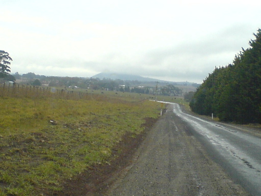 DSC00445