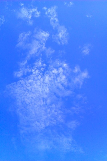 IMAG0090